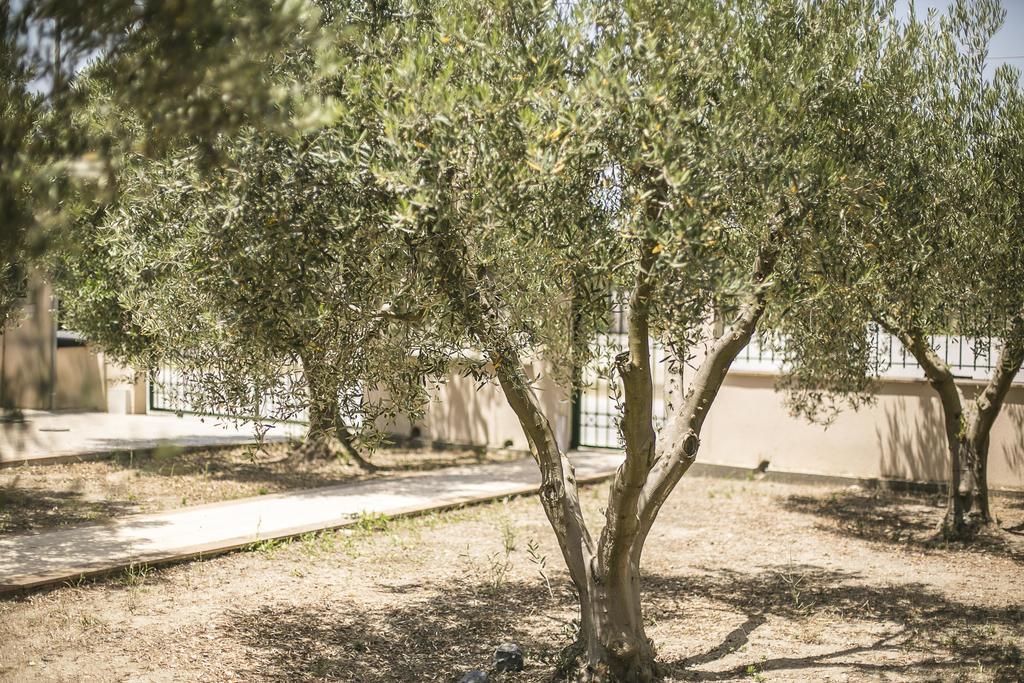 Olive Tree Apartments Fourka Esterno foto