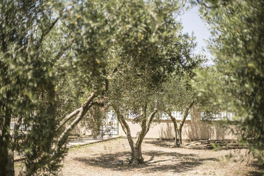 Olive Tree Apartments Fourka Esterno foto