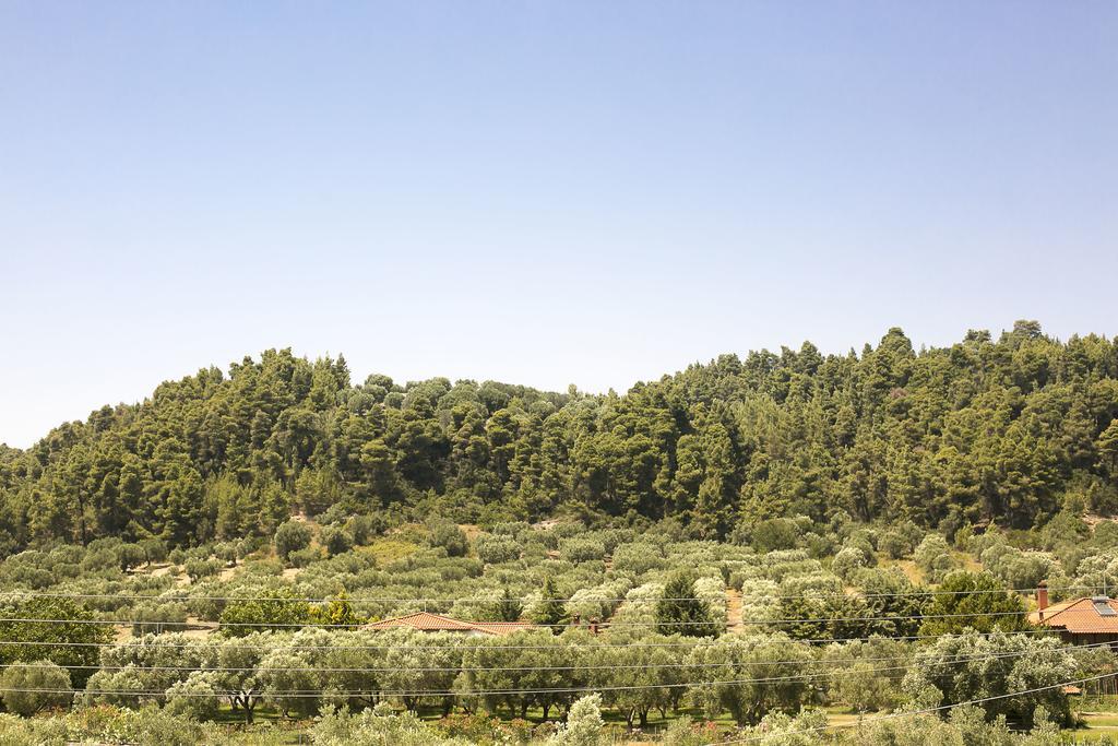 Olive Tree Apartments Fourka Esterno foto